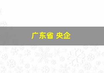 广东省 央企